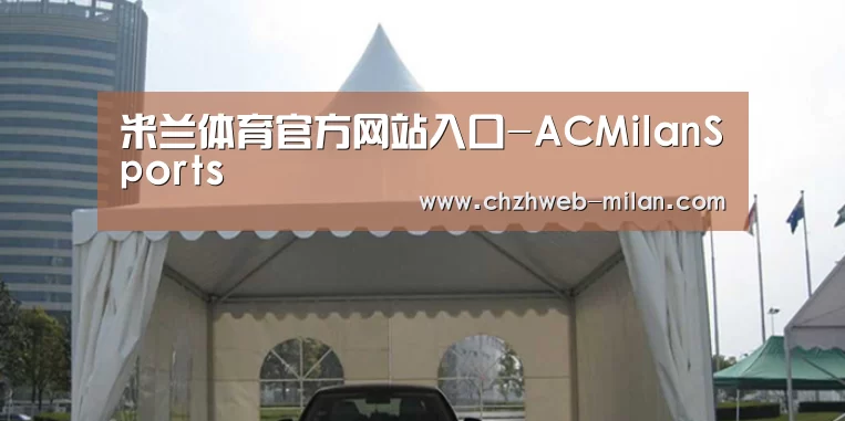 案例标题八