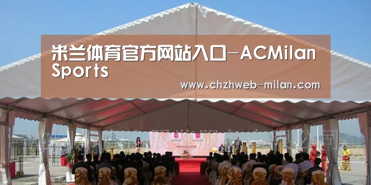 案例标题三